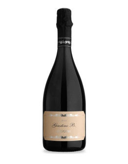 Prosecco Superiore docg extra dry - Giustino