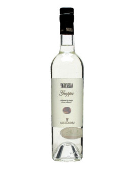 Grappa Tignanello