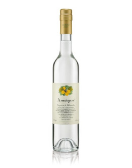Acquavite Marolo di Albicocche