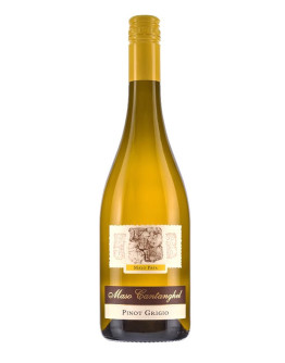 6 Pinot Grigio doc 2025