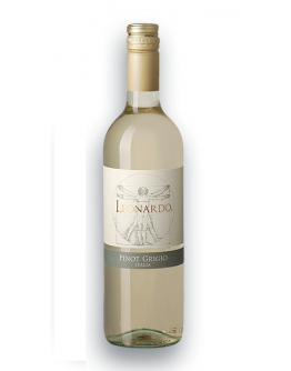 6 Pinot Grigio igt 2019 tappo a vite - Selezione Da Vinci