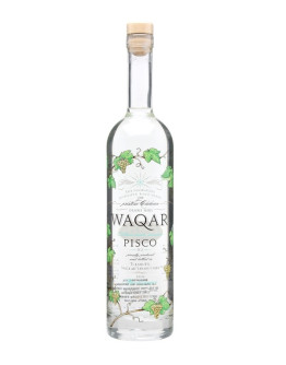 Pisco Waqar