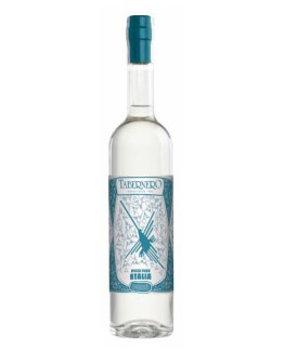 Pisco Tabernero Italia