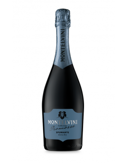 Spumante Extra Dry Promosso Magnum