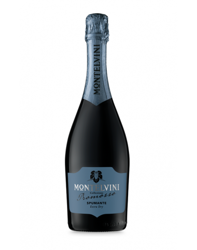 Spumante Extra Dry Promosso Magnum