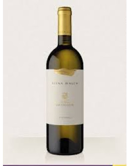Sauvignon doc 2018 - Castel Ringberg