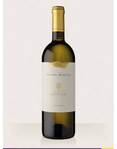 Sauvignon doc 2018 - Castel Ringberg