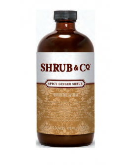 Spicy Ginger Shrub