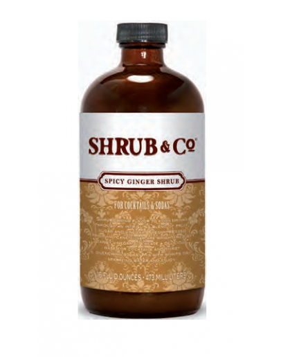 Spicy Ginger Shrub