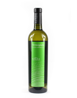 Verdicchio di Matelica d.o.c. Bio - Terravignata 