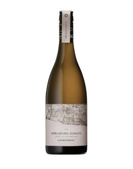 6 Chardonnay doc 2018