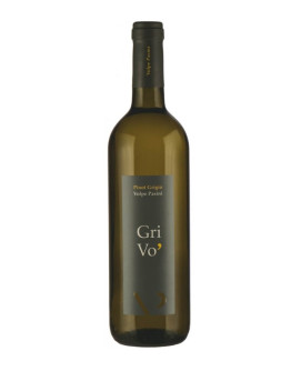 Pinot Grigio doc 2019 - Grivò
