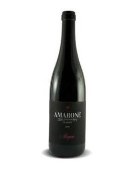 Amarone della Valpolicella doc 3 l in cassa di legno