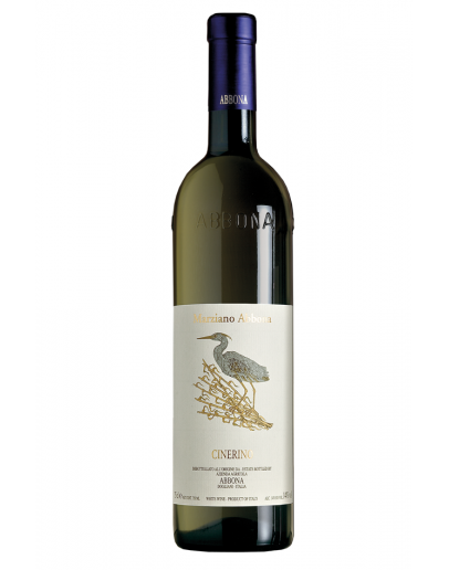Cinerino Vionier 2021