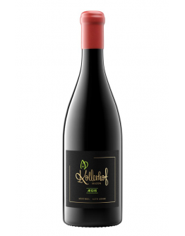 Blauburgunder Alto Adige Riserva doc 2019 - Aegis Magnum in cassa di legno