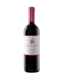 6 Merlot doc 2014 Attems