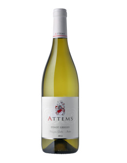 6 Pinot Grigio igt 2019 Attems