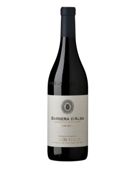 Barbera d'Alba doc  - Costa Bruna