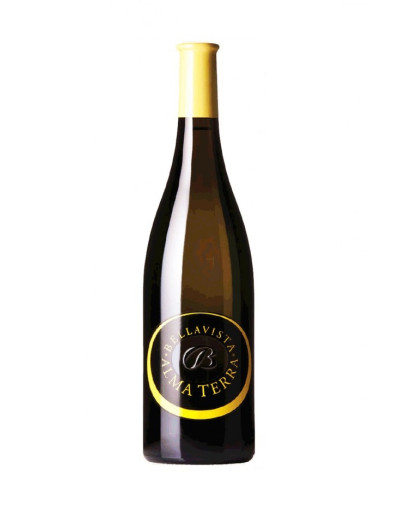 12 Curtefranca Alma Terra 2014