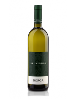 Sauvignon igt