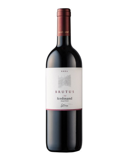 6 Cabernet Sauvignon 2023