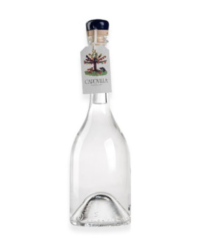 Distillato Capovilla di Prugne Selvatiche