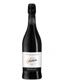 Lambrusco di Sorbara Amabile doc - Centenario