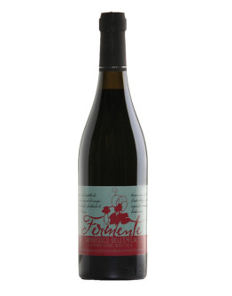 Lambrusco Fermente
