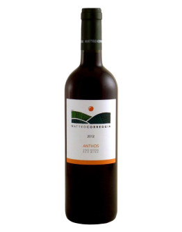 6 Brachetto Secco 2024 - Anthos