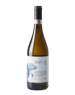 6 Frascati Superiore igt 2024 - Amacos