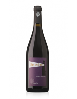Marche Rosso igt - Benedetto