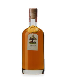 Distillato Capovilla di Vino