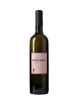 6 Incrocio Manzoni bianco igt 2016
