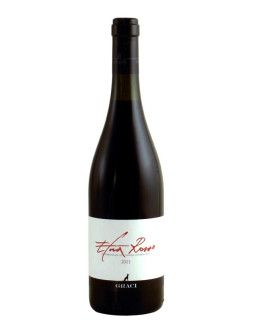 Etna Rosso doc 2022 Magnum