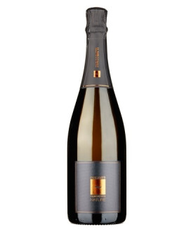 Franciacorta Nature docg