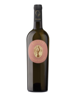Pinot Grigio doc