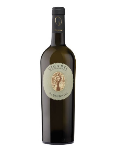 Sauvignon doc
