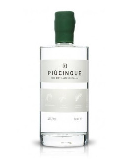 Gin Più Cinque