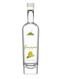 Grappa di Ortica e Limone