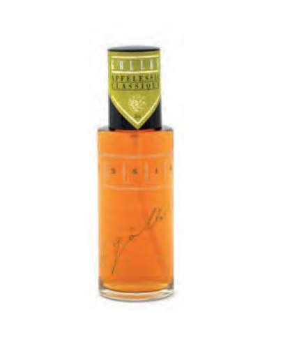 Steirische Apfelessig Spray