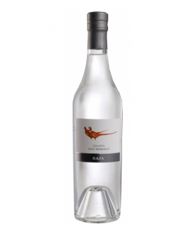 6 Grappa Gaja Sito Moresco