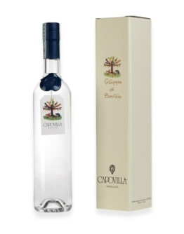 Grappa Capovilla di Barolo