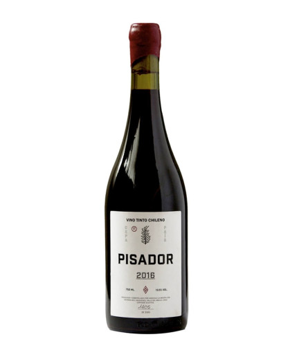 Pisador 2017