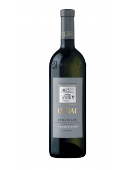 Vermentino doc 2019 - Etichetta Grigia