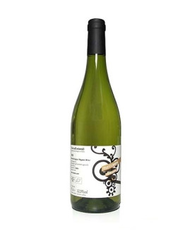 Ribolla Gialla doc