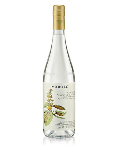 Grappa Marolo di Pigato di Albenga di Bice e Pippo Parodi