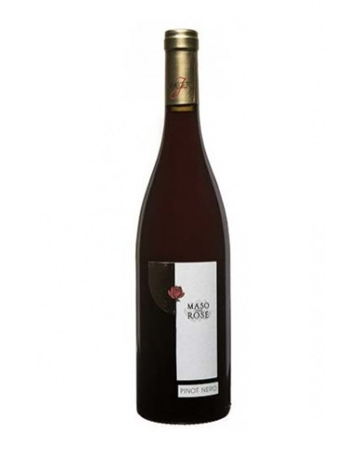 Pinot Bianco doc - Maso delle Rose