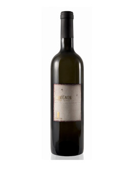 6 Sauvignon Alto Adige doc 2016