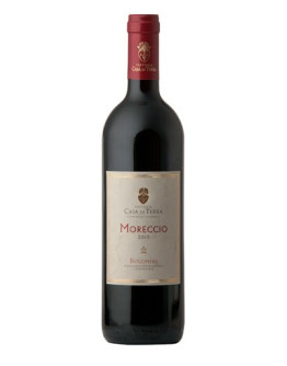12 Bolgheri doc - Moreccio 0.375