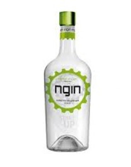 Gin Ngin London Dry 1 l